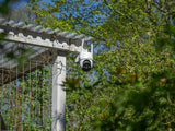 NEXSMART™ PATROL2 4G + SOLCELLEPANEL PAKKELØSNING