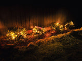 NEXSMART™ SMART LED STRENGELYS